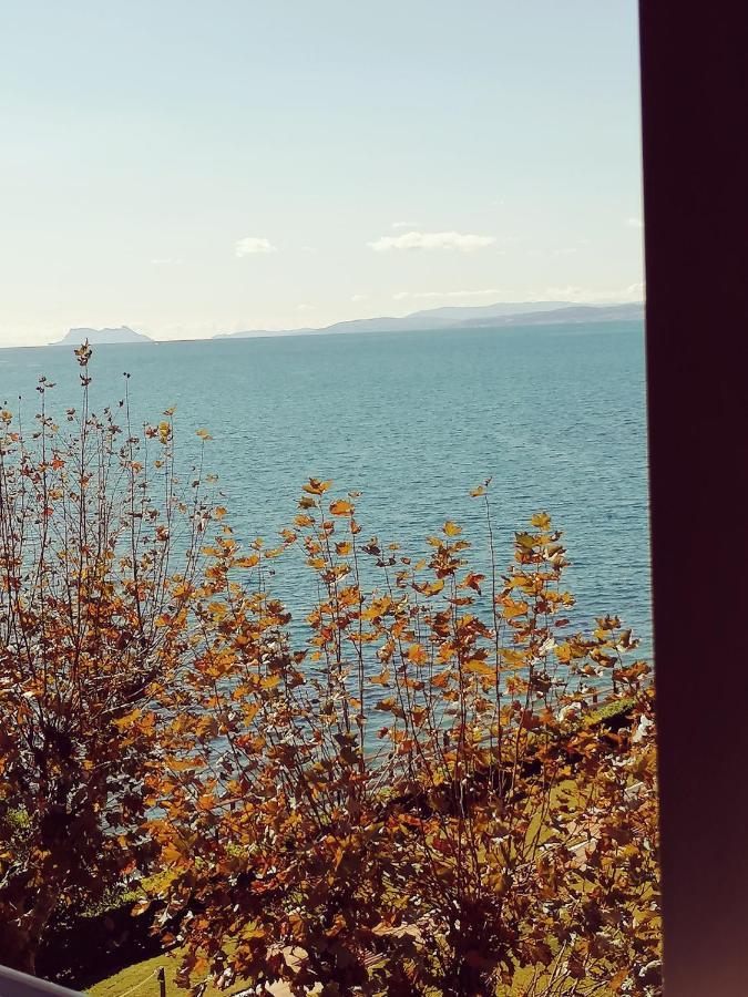 Grand Amour Estepona Kültér fotó